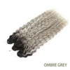 OMBRE GREY