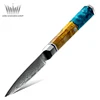 Couteau d'office bleu 3,5 po