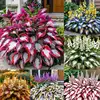 4# Miscelazione dei colori