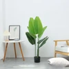 Traveller Tree 110cm