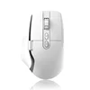 สีขาว