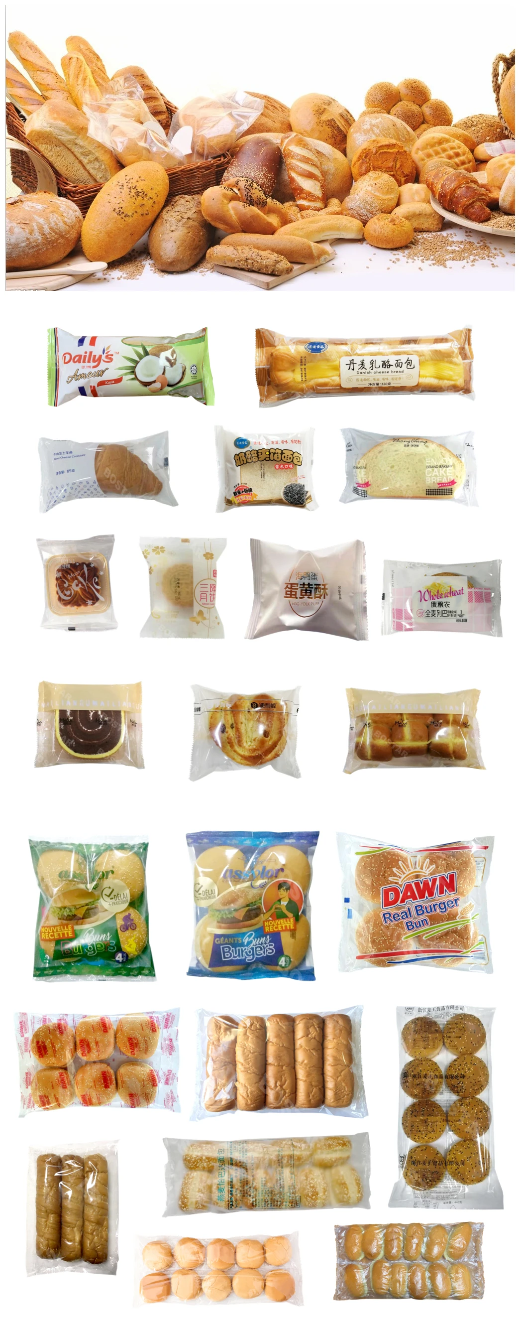 Bread buns Machine.jpg