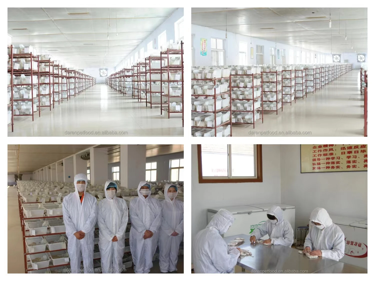 Frozen Feeder Mealworms For Pet Birds Fish,Lizards,Spiders Food Amphibians Aquatic Fishing Bait