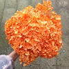 Arancione