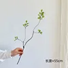 Short branches and green leaves
