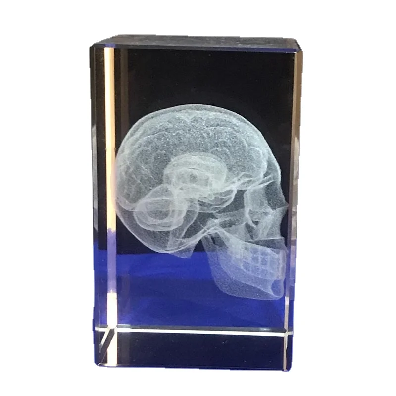 3d laser engraved human organ crystal cube souvenir for teaching