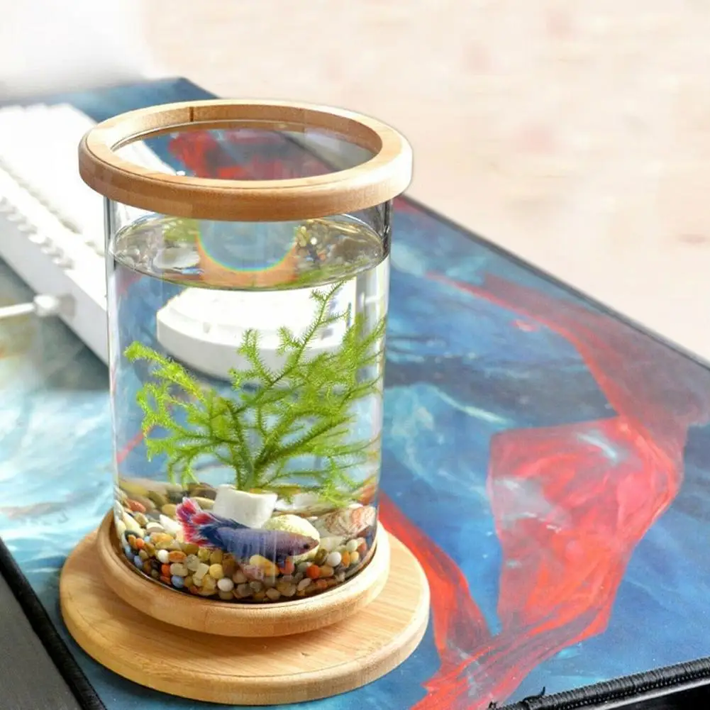 36 Stück Mini-Leuchtschweinchen Aus Kunstharz – Für Feengarten, Aquarium, Deko, Ca. 2,2 Cm