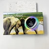 Coffret cadeau éléphant Wishful Pearl 6