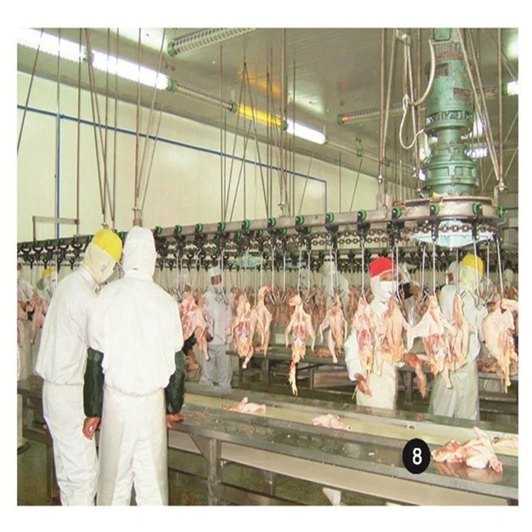 2020 Modern Chicken Slaughterhouse Blucker for Sale