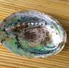 Blue shell