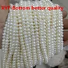 Xyf-BOTTOM
