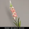A single hyacinth