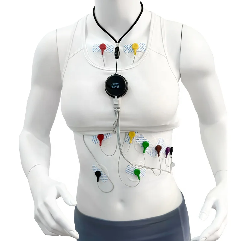 Dynamic ECG Systems 24 Hours Record ECG Holter CE Certificated 12 Leads
