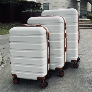 New Product Boarding Box 20 Inch 24 Inch Travel Luggage Case Luxury Luggage Sets with Password  Lock