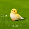 Looking Bird