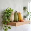 Green cat