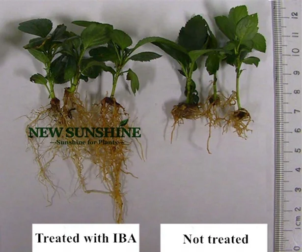 IBA 99% TC индол 3 масляная кислота цена CAS