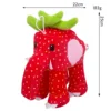 Red strawberry elephant