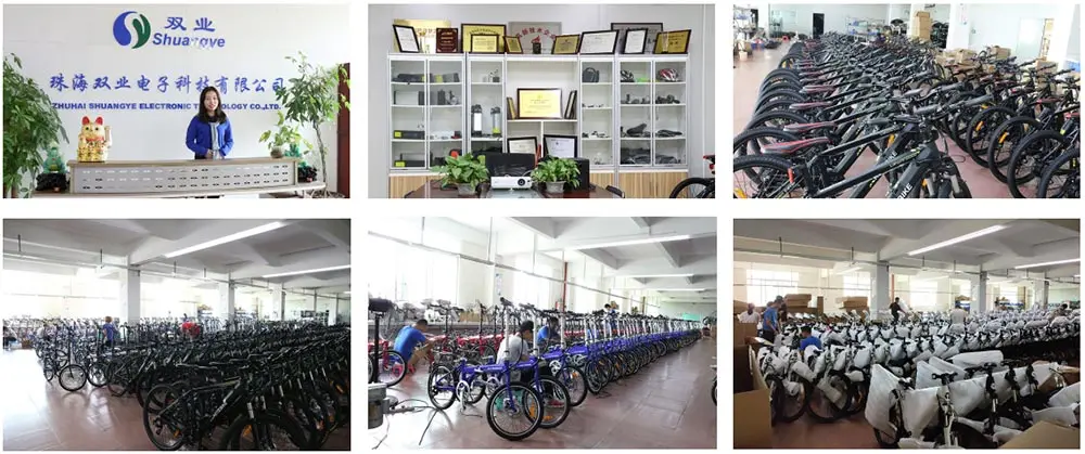 e bike