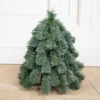 Vert Armée PVC Sapin Noble