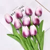 พื้นหลังสีขาวสีม่วง