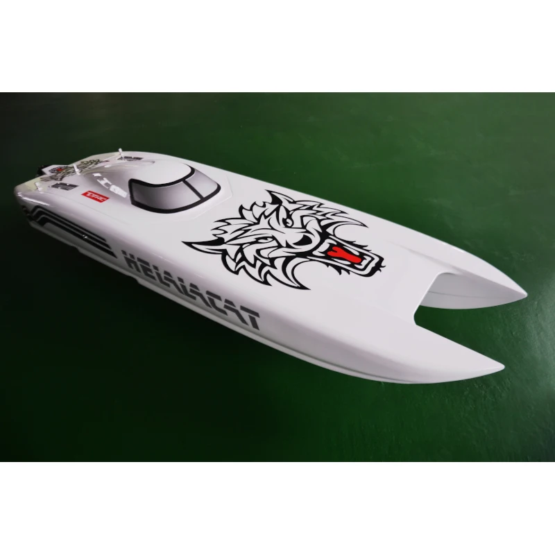 DTRC E51 Catamaran Kevlar/Carbon Fiber HULL 2.4G Electric RC Racing Boat Dual Motors Servos ESC Battery 100km/h DIY  Hobby Model