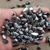 Terahertz Stone