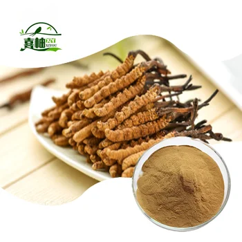 Factory Hot Selling Cordyceps Militaris Extract 30%-50% Polysaccharide Powder Sinensis Cordyceps Extract Powder