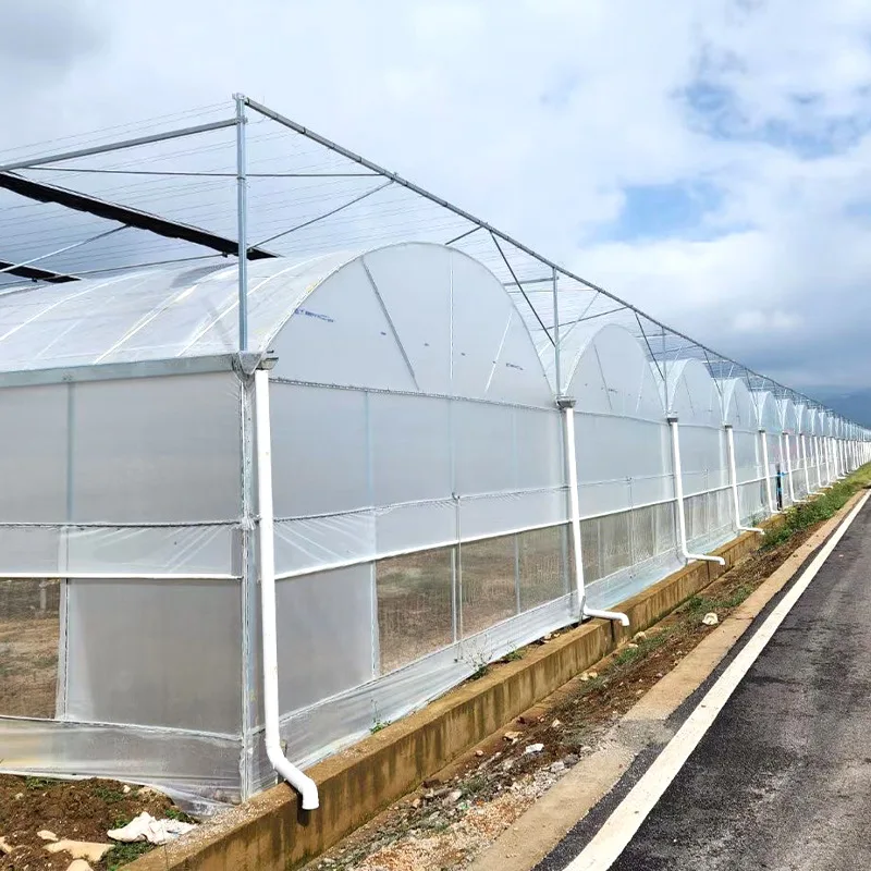 High Quality Galvanized Structure Plastic Tunnel House China Single Span Low Tunnel Greenhouse For Sale