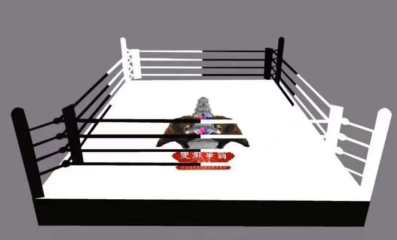 カスタマイズされたジム格闘技リング六角形八角形mmaケージ/総合