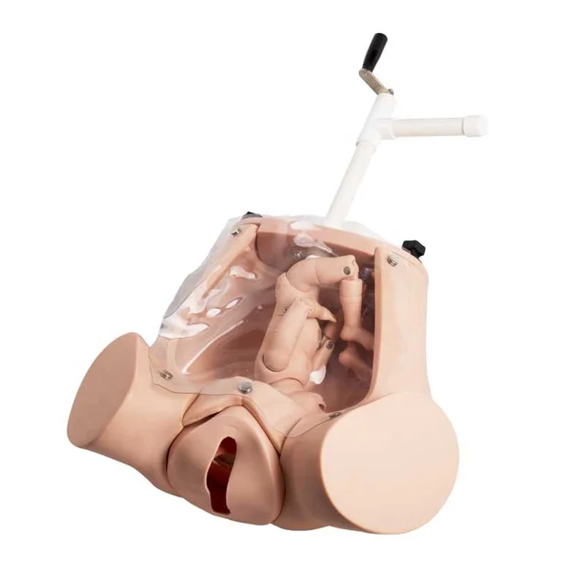 GD/F54  GD/F53, GD/F52 Medical Science Childbirth Training Model Child birth Simulator and Manual Delivery model