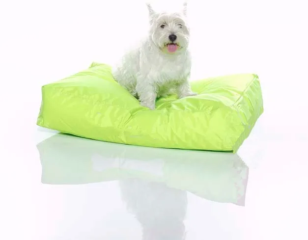 Green Dog Bean Bag Bed Pet Beanbag Sleeping Lounger Buy Non Slip Pet Dog Beds Plush Boat Pet Dog Bed Earthbound Dog Beds Product On Alibaba Com