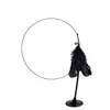 Standard Suction Cup Cat Toy - Black