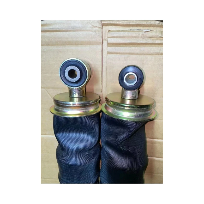 Rear Airbag Air Spring Shock Absorbers WG166440068/1