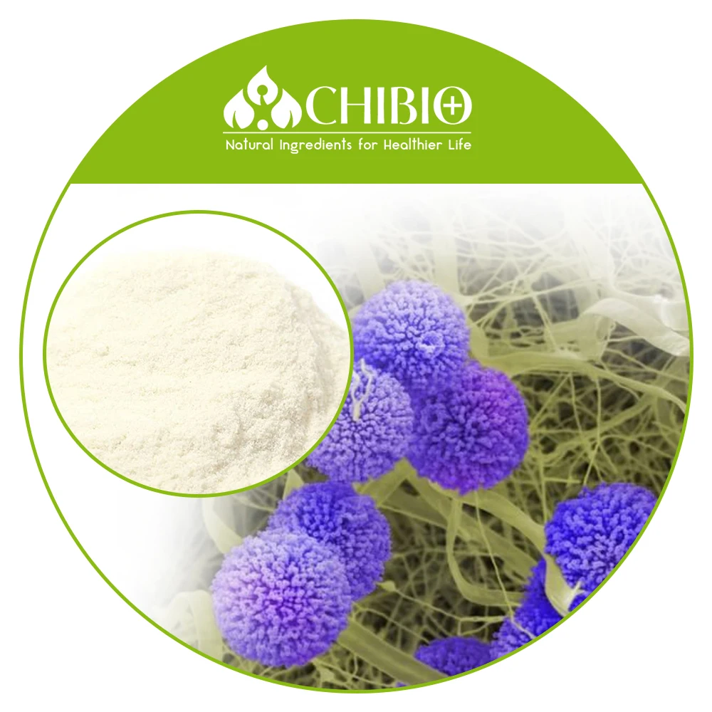 Food Grade Natural Plant Source Aspergillus Niger Chitosan Hydrochloride For Cosmetics Buy Food Grade Chitosan Hydrochloride Cosmetics Free Sample Aspergillus Niger Chitosan 100 Natural Ingredients Chitosan Product On Alibaba Com