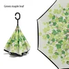 green maple leaf