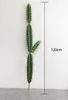 120 cm