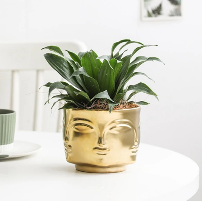 Buddha Head Planter Pot Succulent Planter Modern Buddha Shaped Flower Plant  Pots Gold Flower Pot for Indoor Plants| Alibaba.com