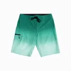 Menthe