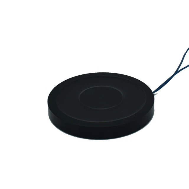 Dc 12v 24v Small Powerful Electromagnet 30Kg 60Lbs Holding Force Eletro Magnet H7009