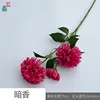 Dark Fragrance Y Rose Red