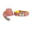 collar with leash 16