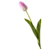 Pinkish green