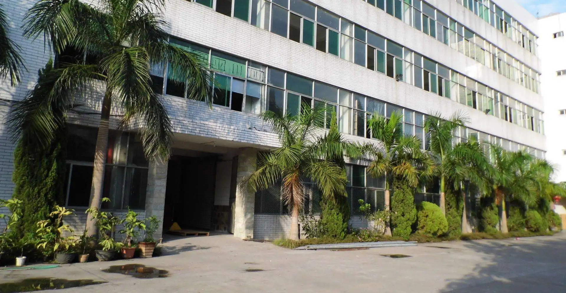 Easydent Technology Co., Ltd.