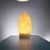 Sustainable Lighting