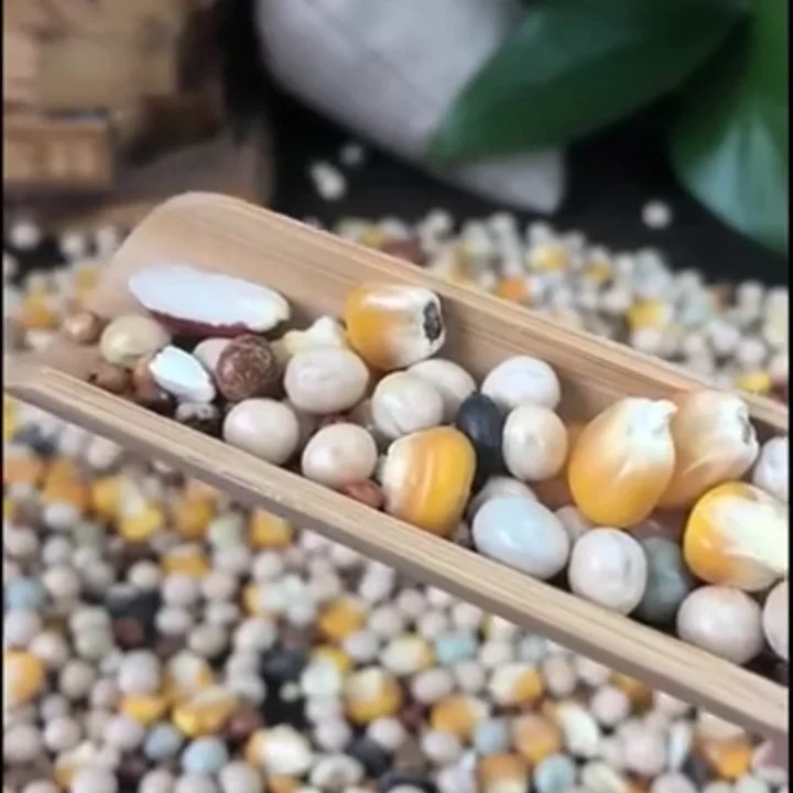 Wholesale Fresh Bulk 2.5kg 50kg Pet Food Bird Seed Feed Pigeon Food