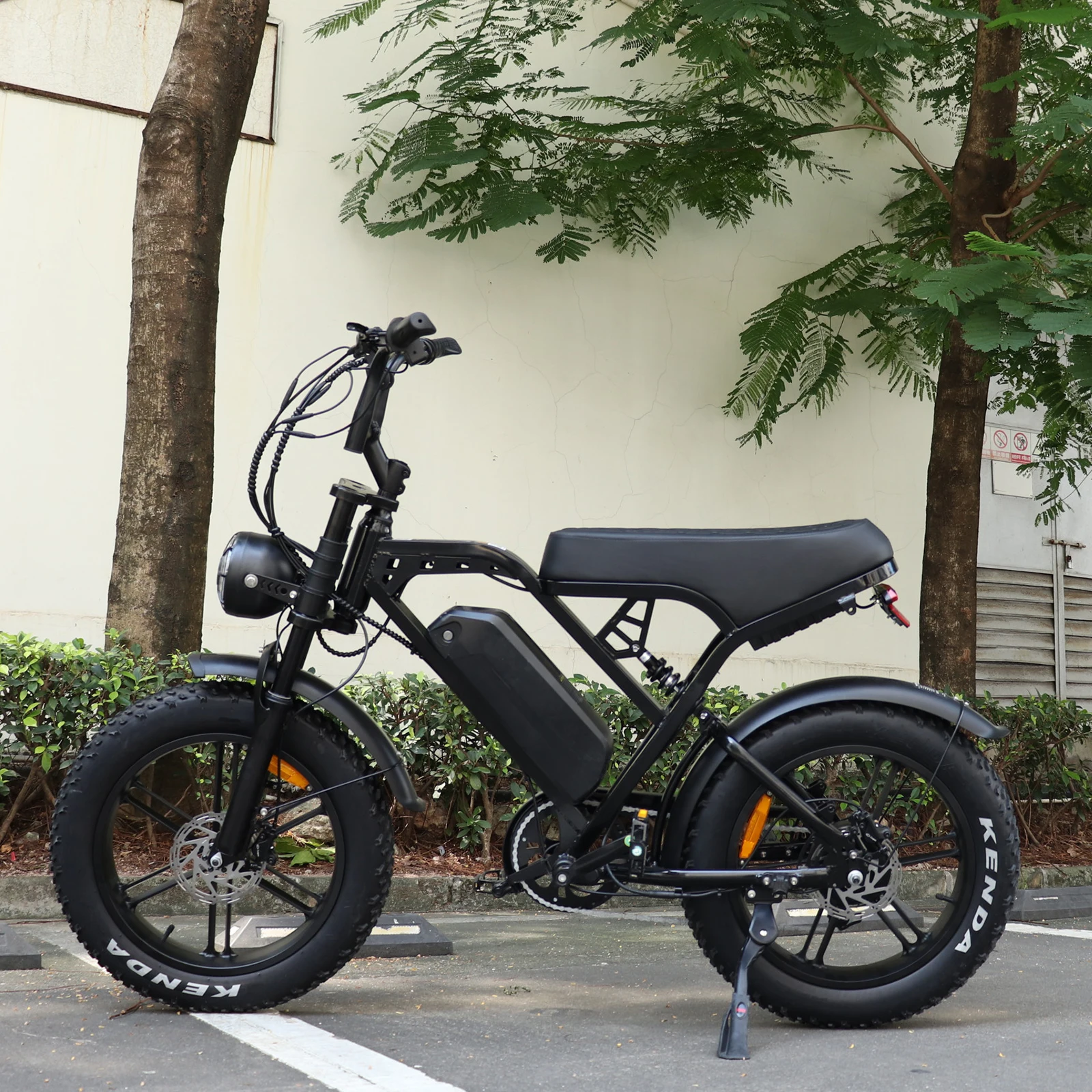 V20 Large Display 250W E Bike - 20