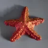 rojo 13CM
