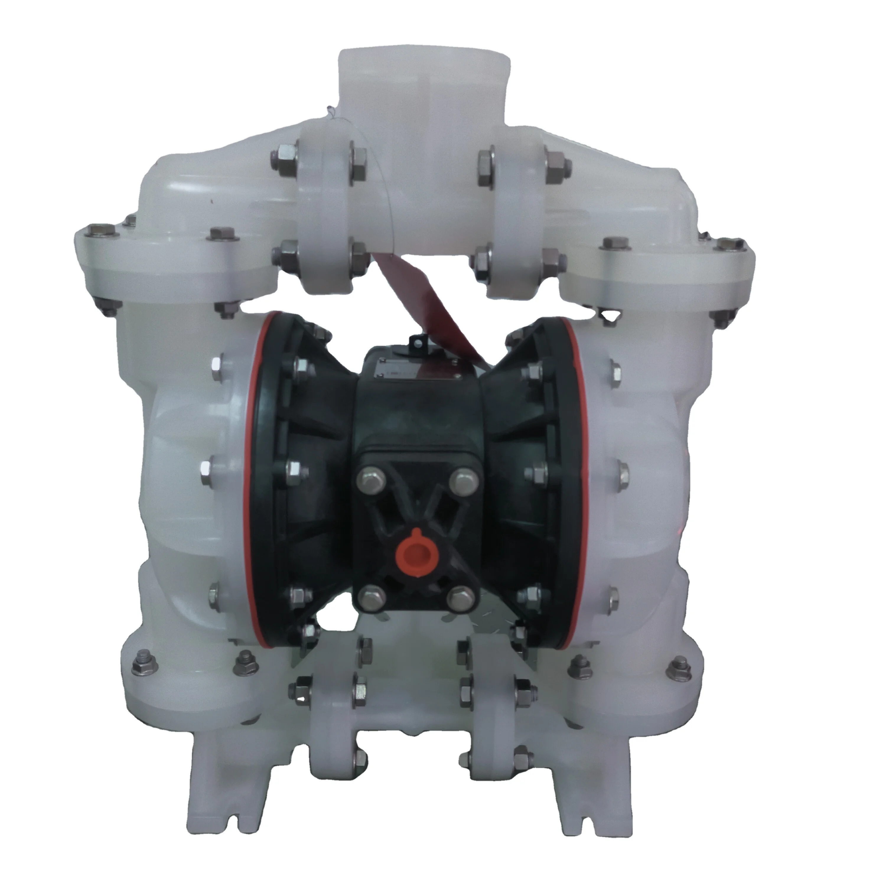 B1F01PP2PUO Pneumatic Diaphragm Pump