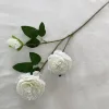 Bianco latte